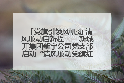党旗引领风帆劲 清风廉动启新程——新城开集团新宇公司党支部启动“清风廉动党旗红”系列活动