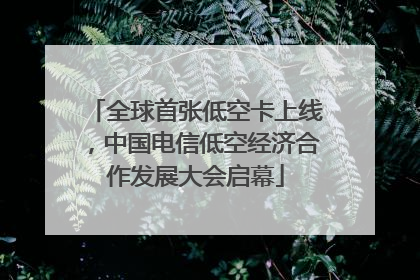 全球首张低空卡上线，中国电信低空经济合作发展大会启幕