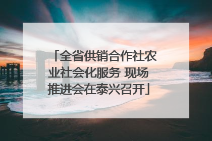 全省供销合作社农业社会化服务 现场推进会在泰兴召开