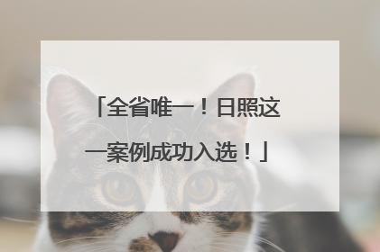 全省唯一！日照这一案例成功入选！