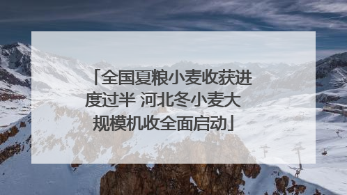 全国夏粮小麦收获进度过半 河北冬小麦大规模机收全面启动