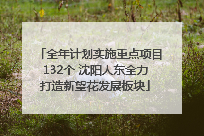 全年计划实施重点项目132个 沈阳大东全力打造新望花发展板块