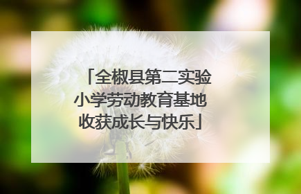 全椒县第二实验小学劳动教育基地收获成长与快乐