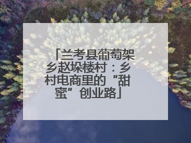 兰考县葡萄架乡赵垛楼村：乡村电商里的“甜蜜”创业路