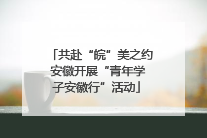 共赴“皖”美之约 安徽开展“青年学子安徽行”活动