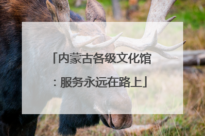 内蒙古各级文化馆：服务永远在路上