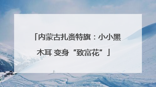 内蒙古扎赉特旗：小小黑木耳 变身“致富花”