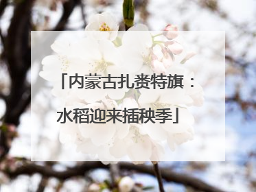 内蒙古扎赉特旗：水稻迎来插秧季