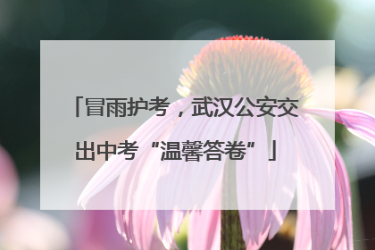 冒雨护考，武汉公安交出中考“温馨答卷”