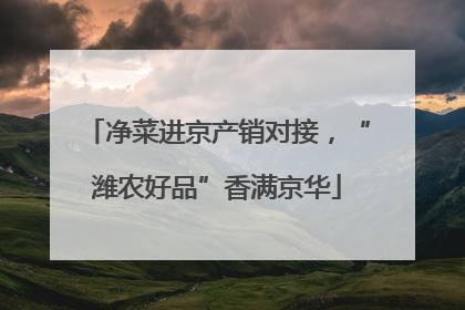 净菜进京产销对接，“潍农好品”香满京华
