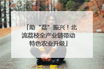助“荔”振兴！北流荔枝全产业链带动特色农业升级