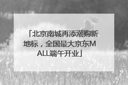 北京南城再添潮购新地标，全国最大京东MALL端午开业