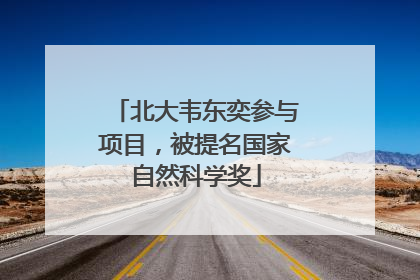 北大韦东奕参与项目，被提名国家自然科学奖