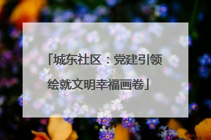 城东社区：党建引领绘就文明幸福画卷