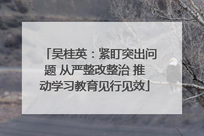 吴桂英：紧盯突出问题 从严整改整治 推动学习教育见行见效