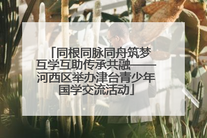 同根同脉同舟筑梦 互学互助传承共融——河西区举办津台青少年国学交流活动