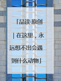 品读·原创｜在这里，永远想不出会遇到什么动物