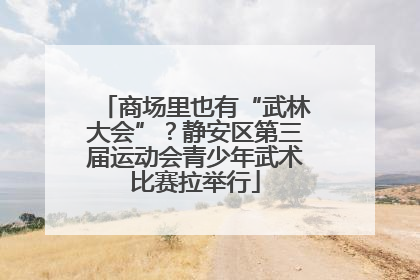 商场里也有“武林大会”？静安区第三届运动会青少年武术比赛拉举行