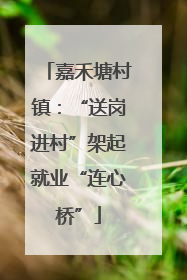 嘉禾塘村镇：“送岗进村”架起就业“连心桥”