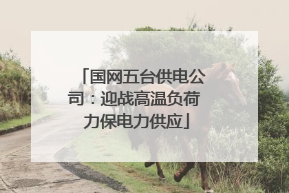 国网五台供电公司：迎战高温负荷 力保电力供应