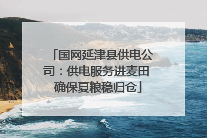 国网延津县供电公司：供电服务进麦田 确保夏粮稳归仓