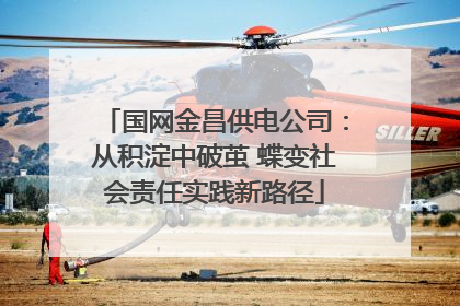 国网金昌供电公司：从积淀中破茧 蝶变社会责任实践新路径