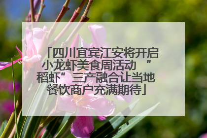 四川宜宾江安将开启小龙虾美食周活动 “稻虾”三产融合让当地餐饮商户充满期待