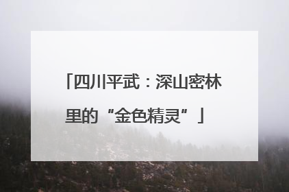 四川平武：深山密林里的“金色精灵”