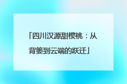 四川汉源甜樱桃：从背篓到云端的跃迁
