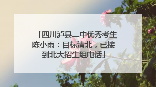 四川泸县二中优秀考生陈小雨：目标清北，已接到北大招生组电话