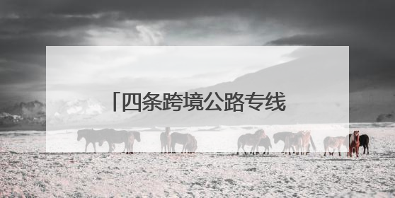 四条跨境公路专线同时开通！河北首个跨境公路运输集结中心启动运营
