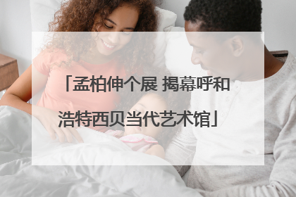 孟柏伸个展 揭幕呼和浩特西贝当代艺术馆