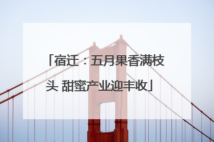 宿迁：五月果香满枝头 甜蜜产业迎丰收