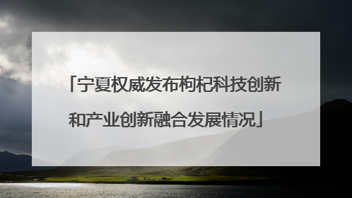 宁夏权威发布枸杞科技创新和产业创新融合发展情况