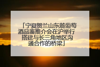 宁夏贺兰山东麓葡萄酒品鉴推介会在沪举行 搭建与长三角地区沟通合作的桥梁