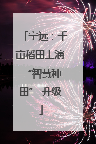 宁远：千亩稻田上演 “智慧种田” 升级