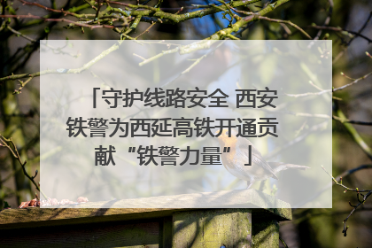 守护线路安全 西安铁警为西延高铁开通贡献“铁警力量”