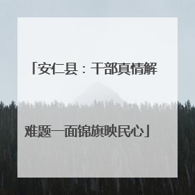 安仁县：干部真情解难题一面锦旗映民心