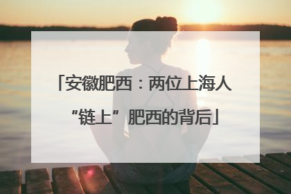 安徽肥西：两位上海人“链上”肥西的背后