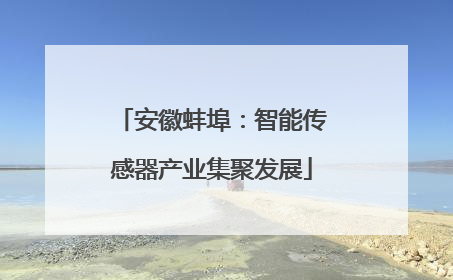 安徽蚌埠：智能传感器产业集聚发展