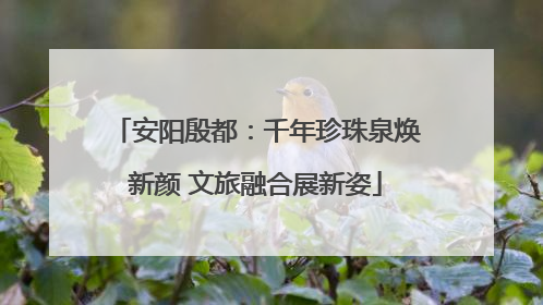 安阳殷都：千年珍珠泉焕新颜 文旅融合展新姿