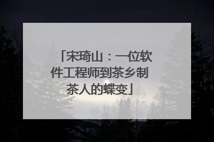 宋琦山：一位软件工程师到茶乡制茶人的蝶变