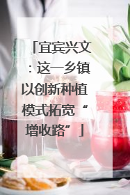 宜宾兴文：这一乡镇以创新种植模式拓宽“增收路”