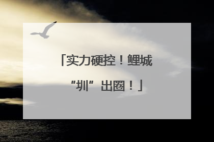 实力硬控！鲤城“圳”出圈！