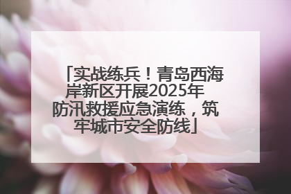 实战练兵！青岛西海岸新区开展2025年防汛救援应急演练，筑牢城市安全防线