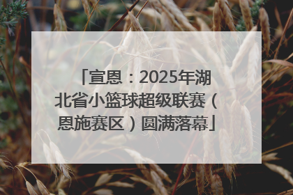 宣恩：2025年湖北省小篮球超级联赛（恩施赛区）圆满落幕