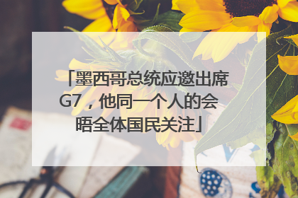 墨西哥总统应邀出席G7，他同一个人的会晤全体国民关注