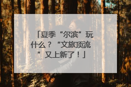 夏季“尔滨”玩什么？“文旅顶流”又上新了！