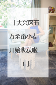 大兴区五万余亩小麦开始收获啦！