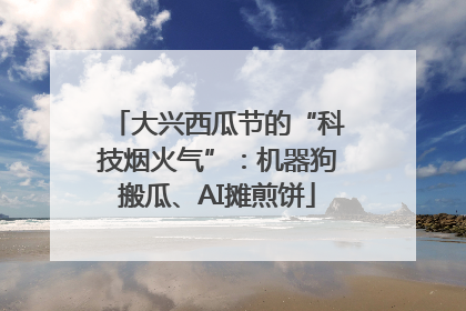 大兴西瓜节的“科技烟火气”：机器狗搬瓜、AI摊煎饼